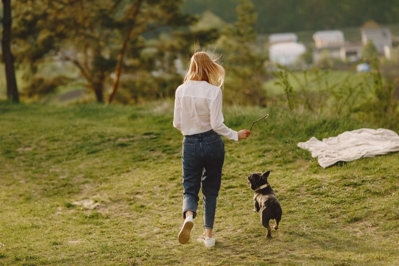 Dog Walking